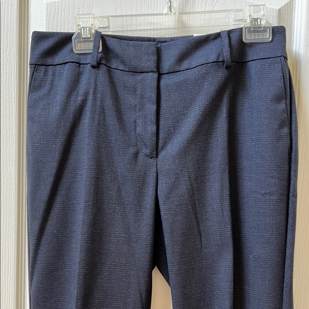 Ann Taylor Factory The Ankle pant
